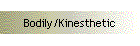 Bodily/Kinesthetic