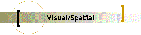Visual/Spatial