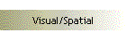Visual/Spatial