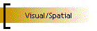 Visual/Spatial
